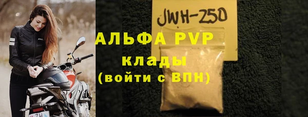 ECSTASY Гусь-Хрустальный