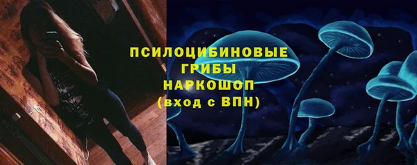 дмт Нефтекумск