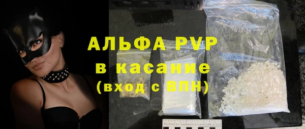 ECSTASY Гусь-Хрустальный