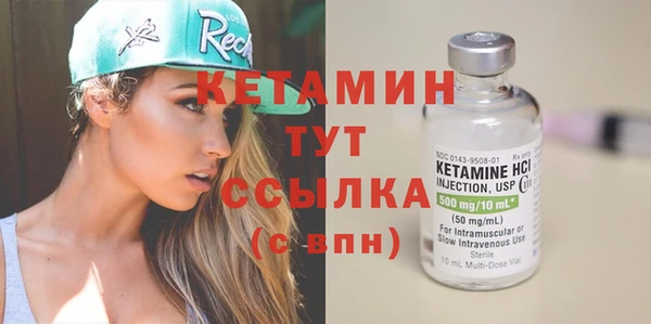 ECSTASY Гусь-Хрустальный