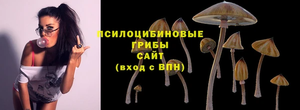 трава Гусев