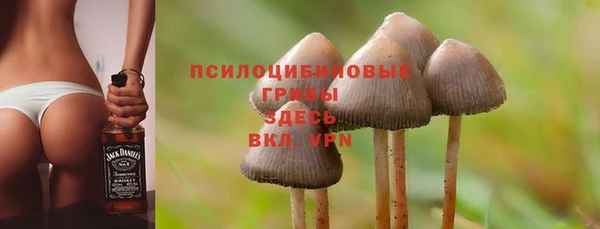мдпв Гусиноозёрск