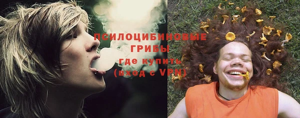 трава Гусев