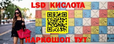 гашик Будённовск