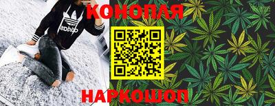 гашик Будённовск