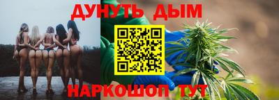 гашик Будённовск