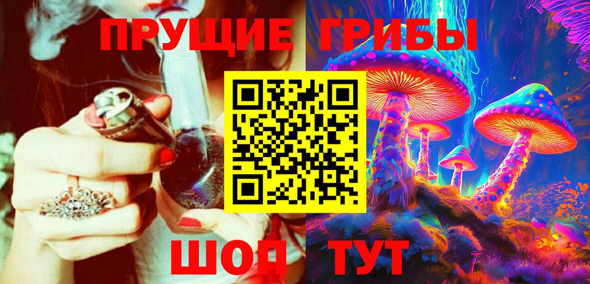 Псилоцибиновые грибы Psilocybine cubensis Ефремов